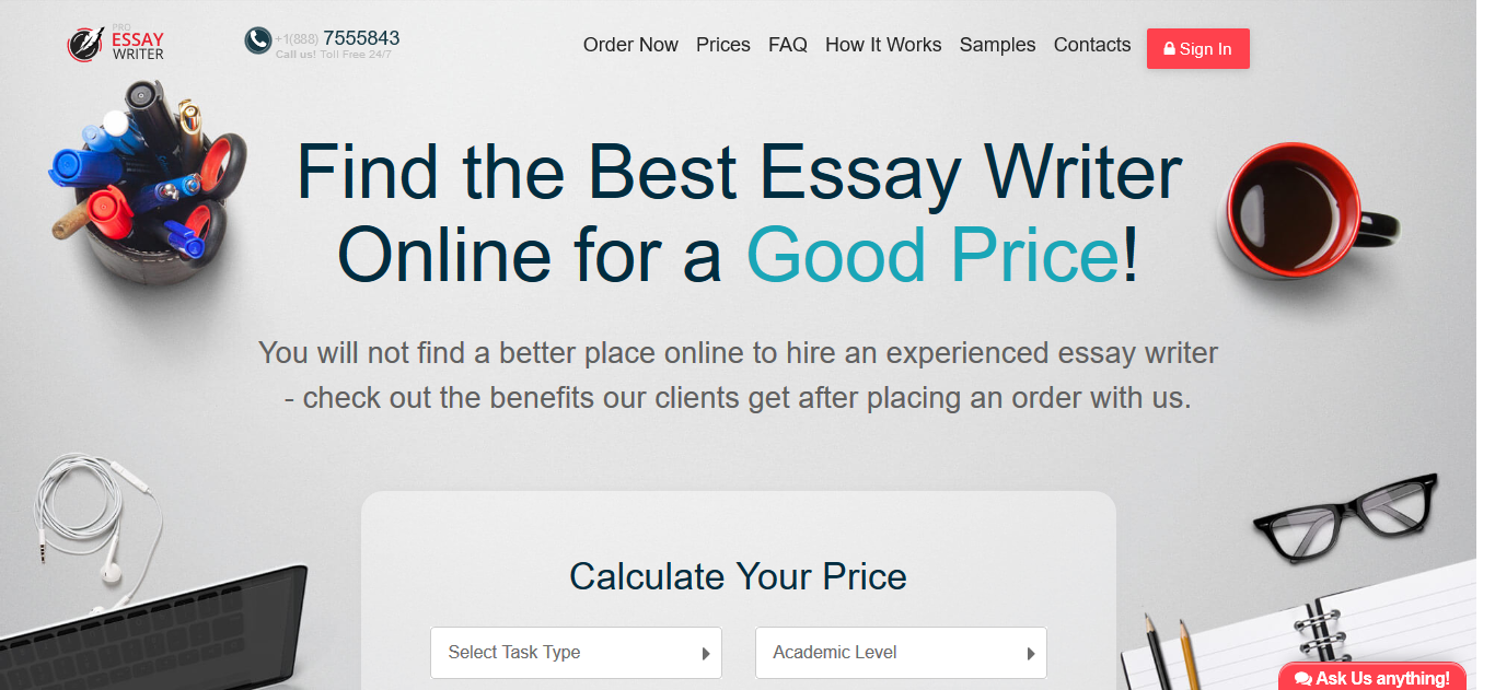pro-essay-writer.com website